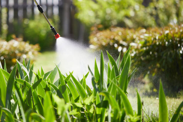 24/7 Emergency Mosquito Control experts in Mexico, IN